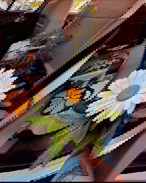 edin.karyn edin.karyn archive image