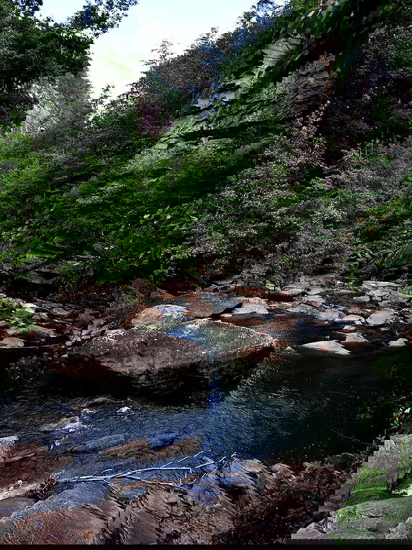 edin.karyn edin.karyn archive image