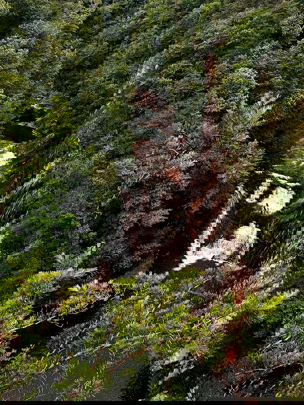 edin.karyn edin.karyn archive image