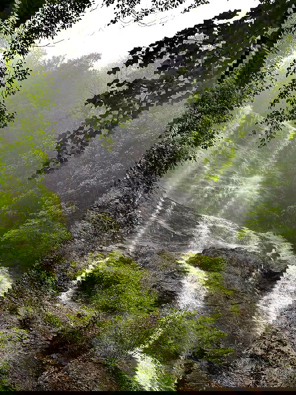 edin.karyn edin.karyn archive image