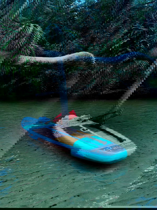 edin.karyn edin.karyn archive image