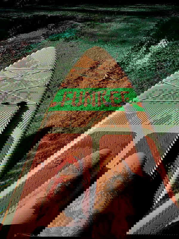 edin.karyn edin.karyn archive image