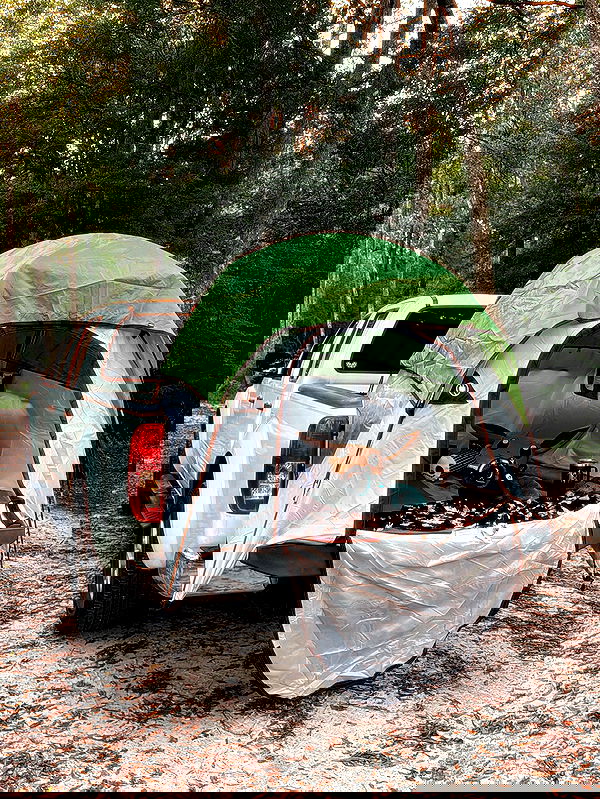 edin.karyn edin.karyn archive image