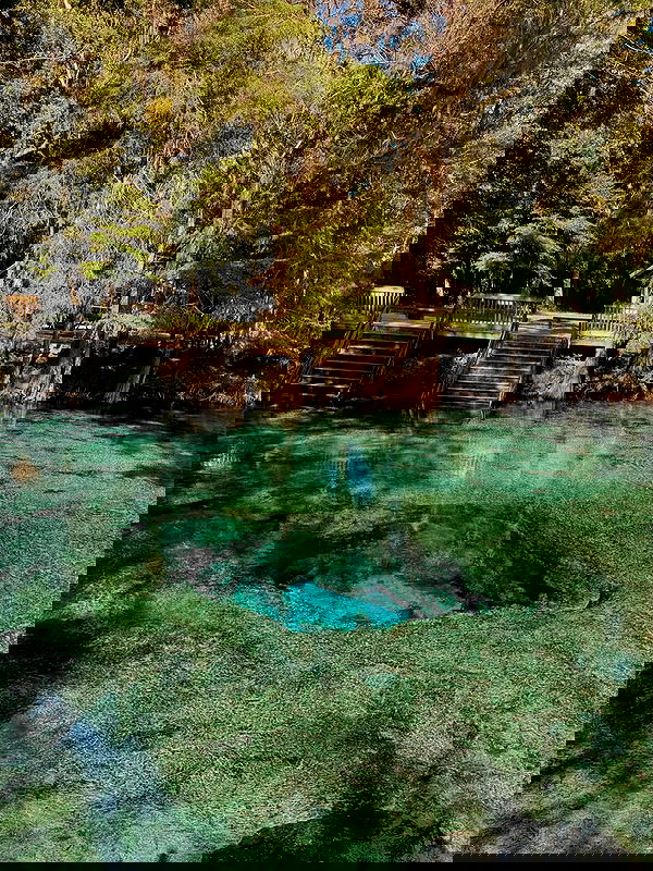 edin.karyn edin.karyn archive image