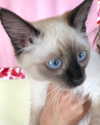 eevee.173 Altpins Profile Picture