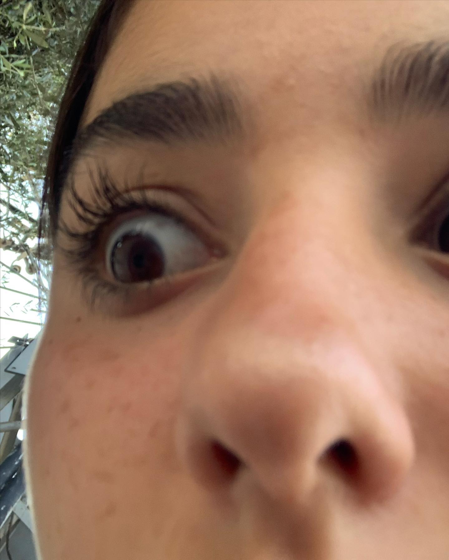 efrat_elmalich instagram image archive image