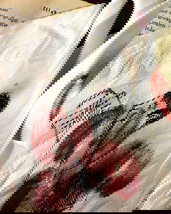 efrat_elmalich image ~ Altpins