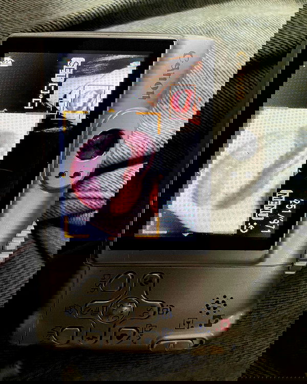 efrat_elmalich image ~ Altpins