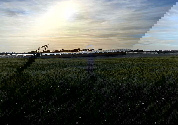 efrat_elmalich image ~ Altpins