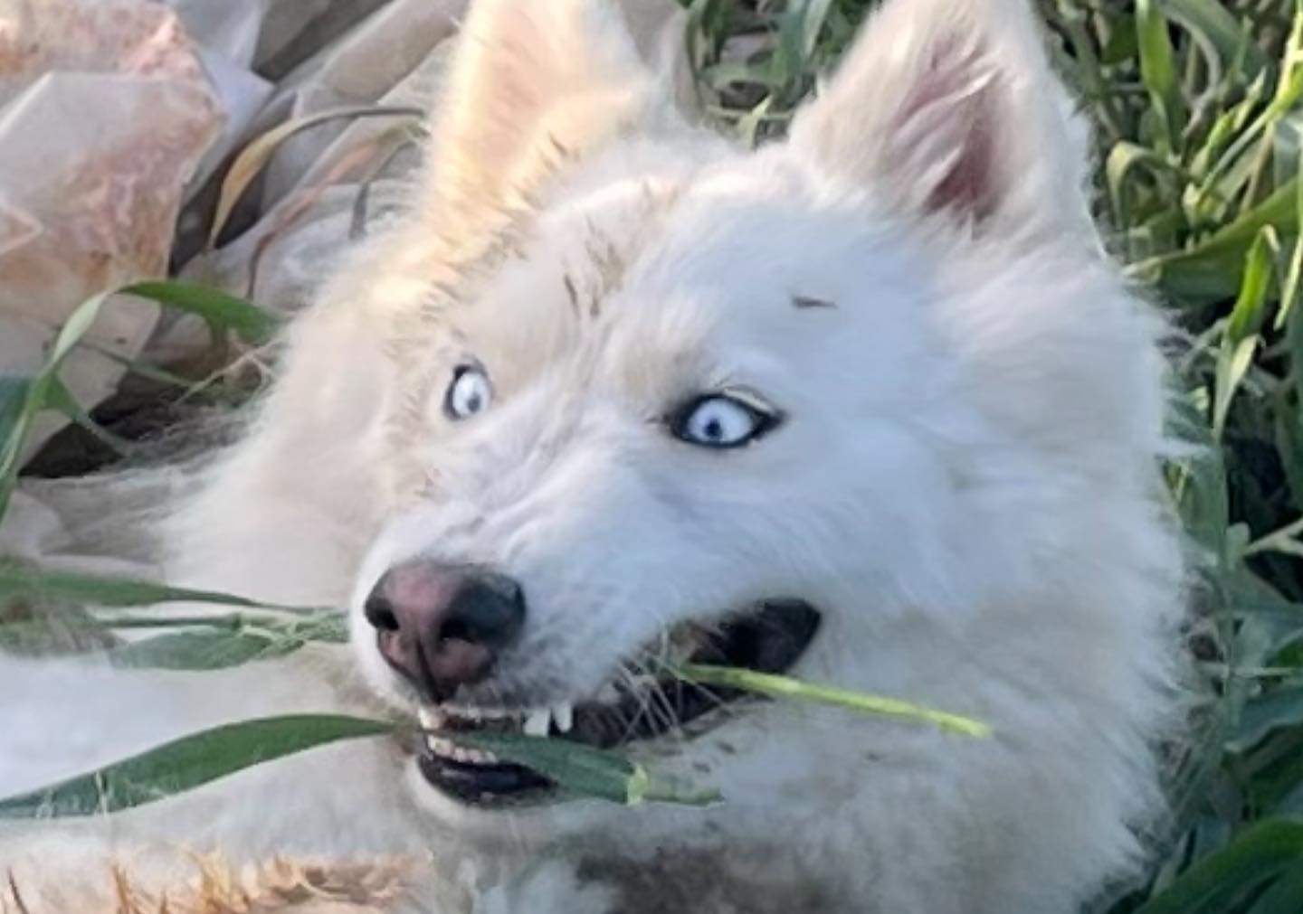 efrat_elmalich instagram image archive image