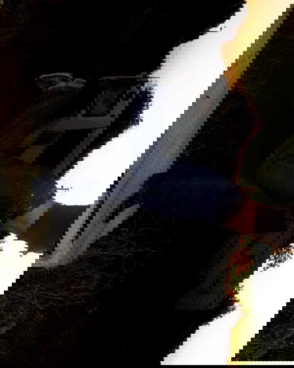 efrat_elmalich image ~ Altpins