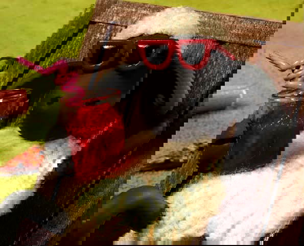 efrat_elmalich image ~ Altpins