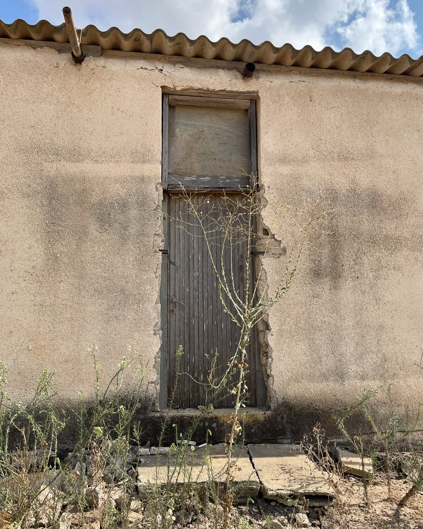 efrat_elmalich instagram image archive image