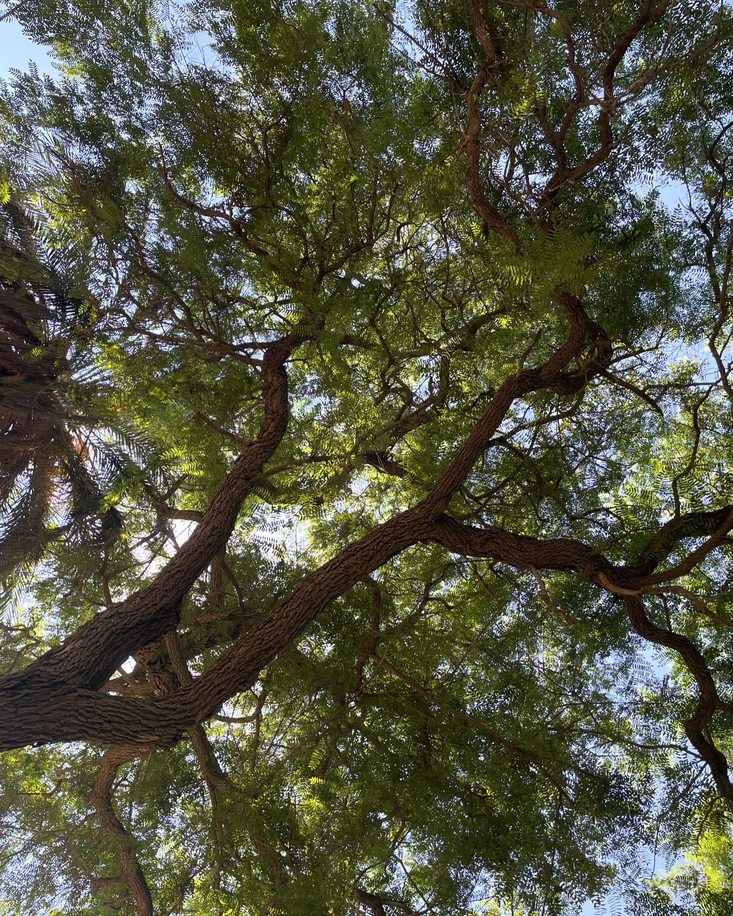 efrat_elmalich instagram image archive image