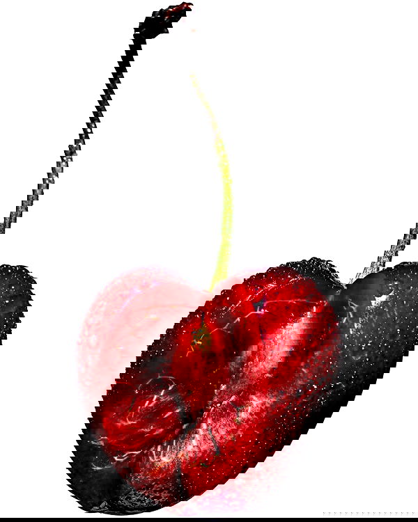 efrat_elmalich image ~ Altpins