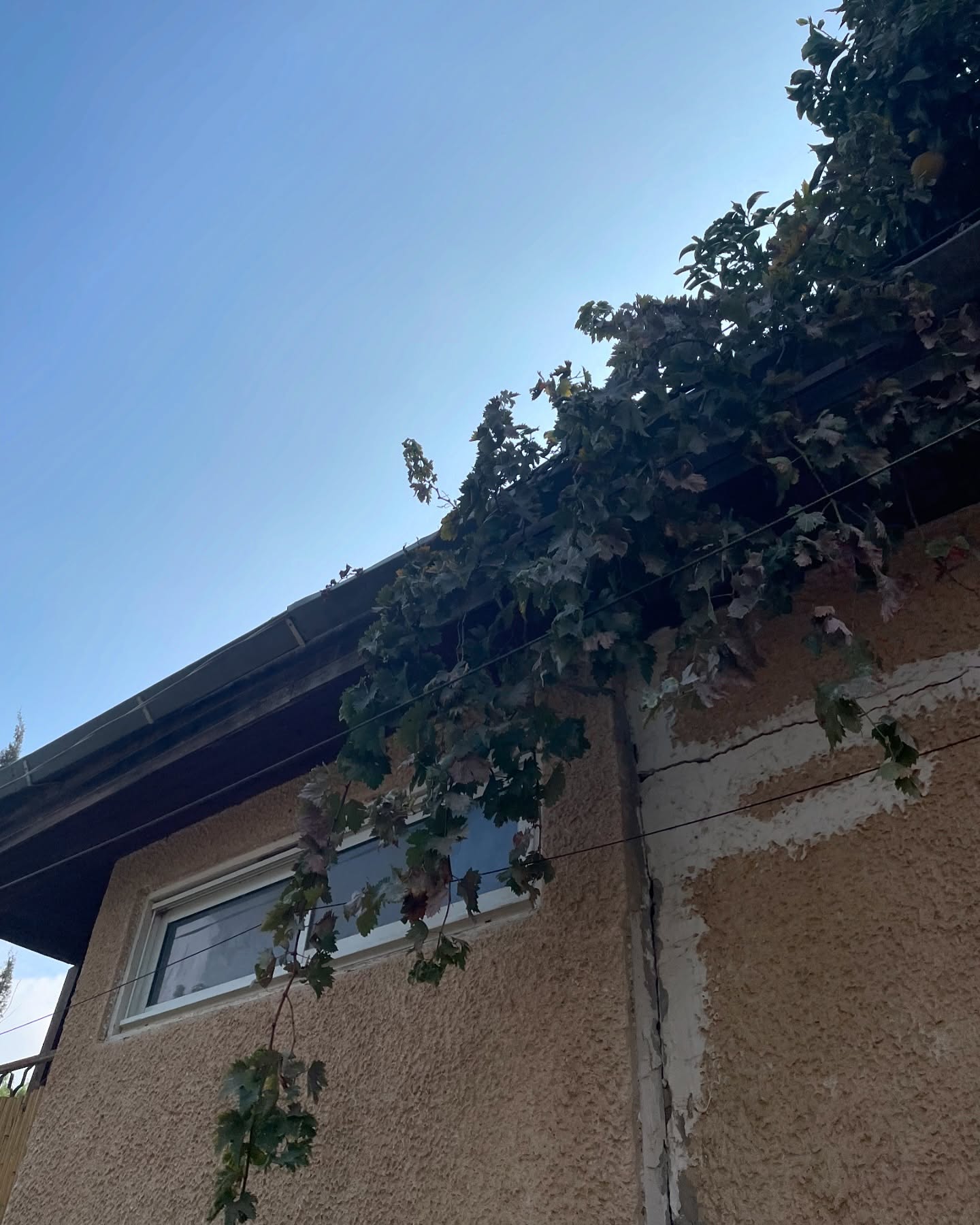 efrat_elmalich instagram image archive image