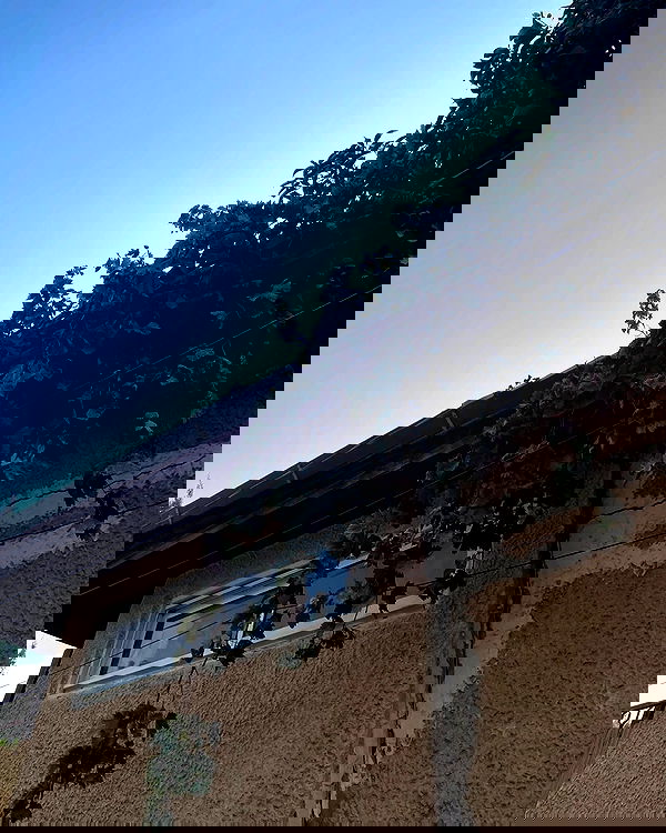 efrat_elmalich image ~ Altpins