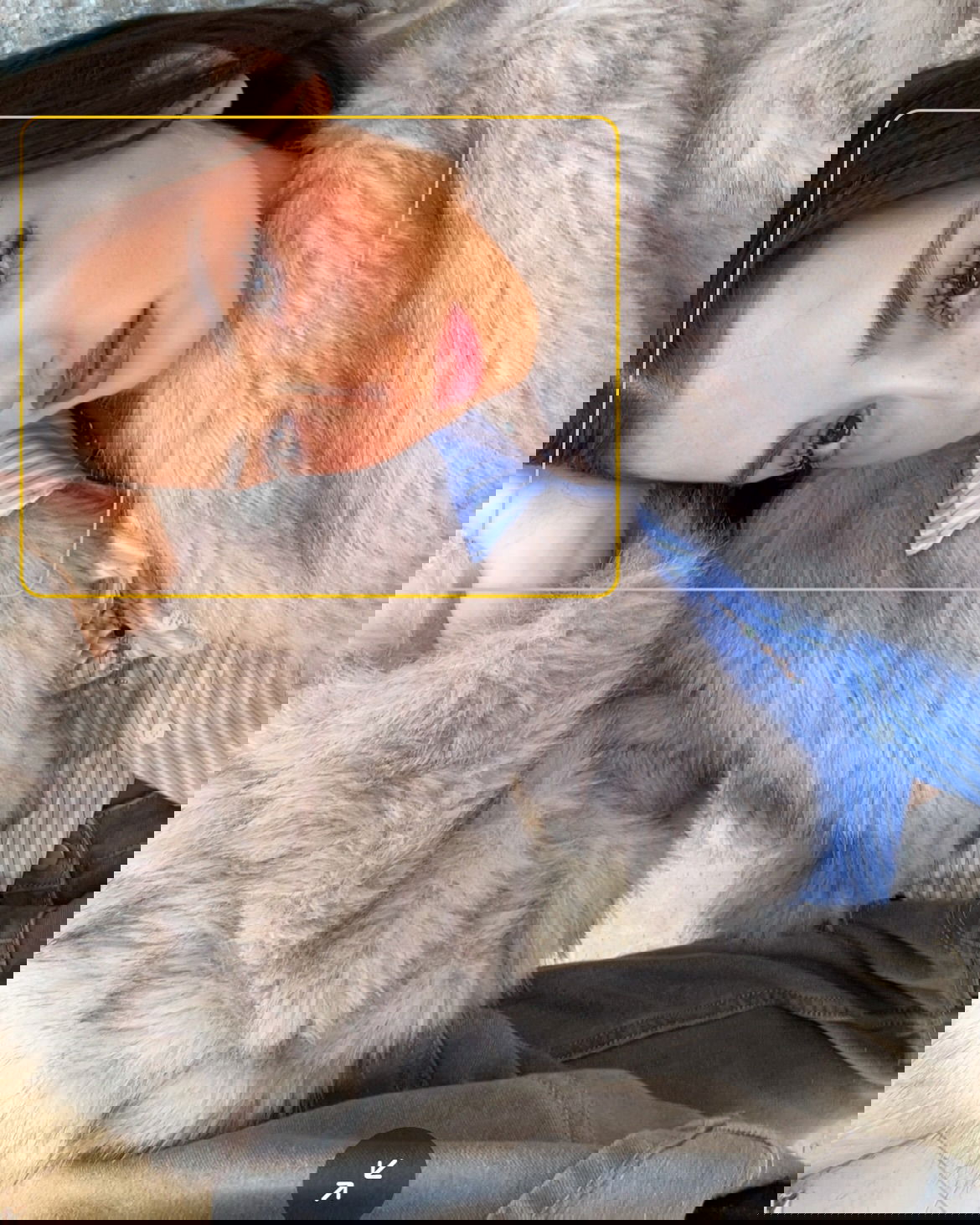 efrat_elmalich instagram image archive image