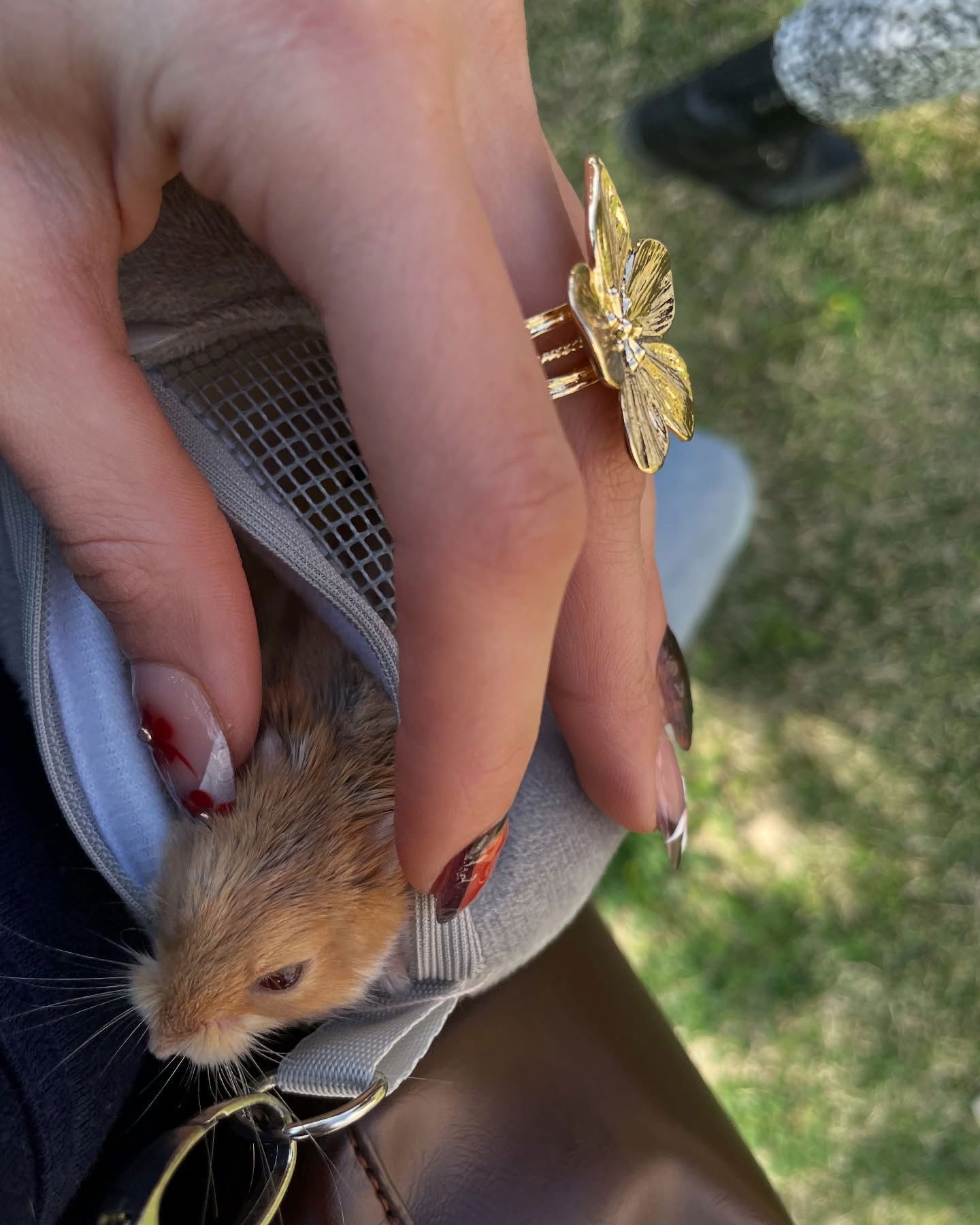 efrat_elmalich instagram image archive image