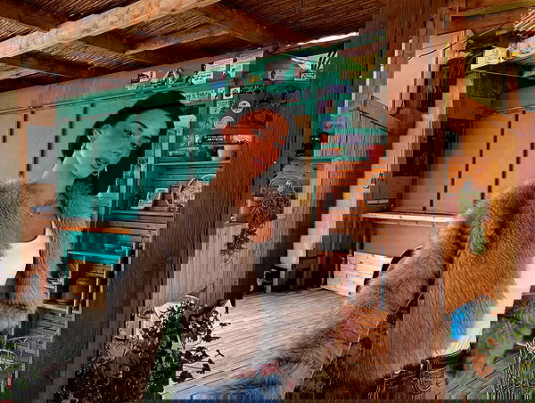 efrat_elmalich image ~ Altpins