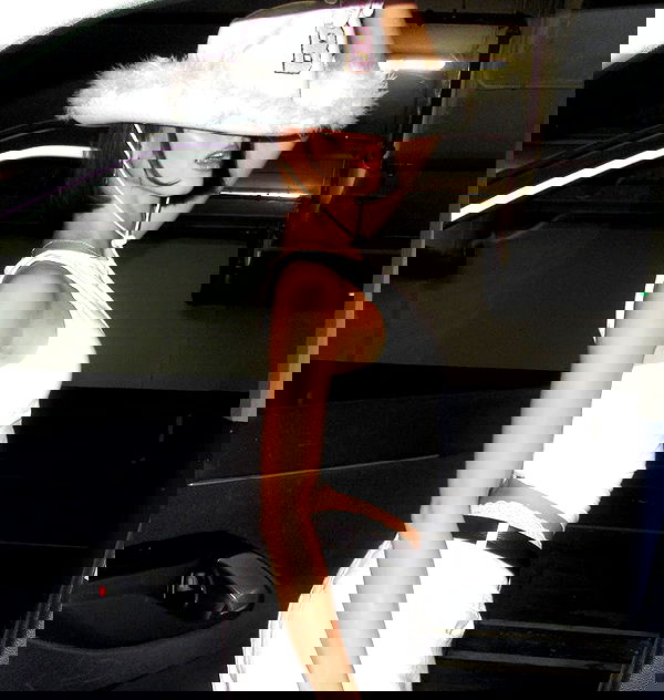 efrat_elmalich image ~ Altpins