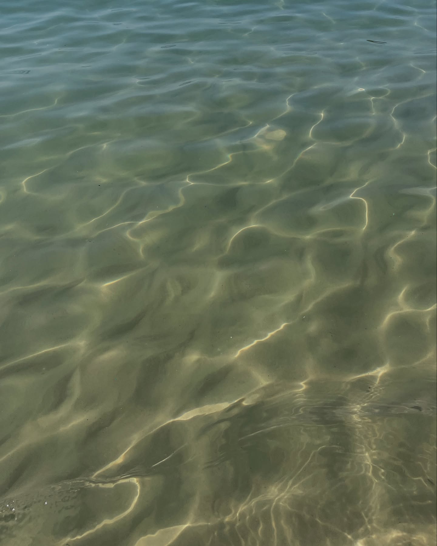 efrat_elmalich instagram image archive image