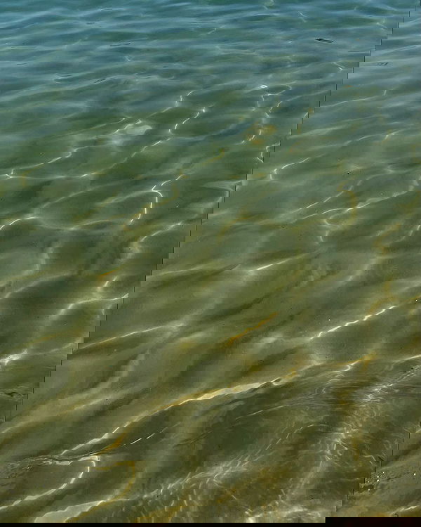 efrat_elmalich image ~ Altpins