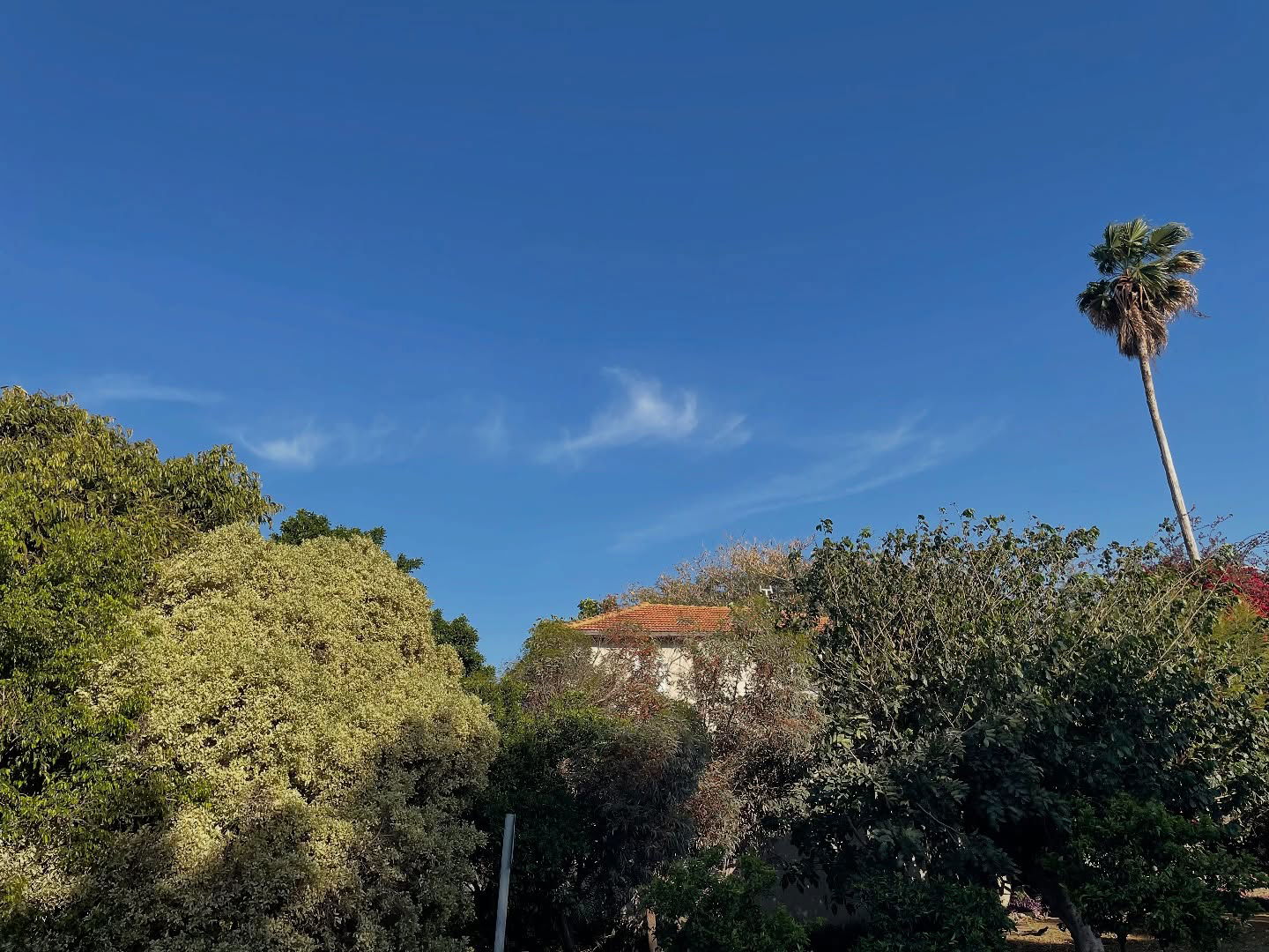 efrat_elmalich instagram image archive image