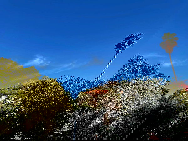 efrat_elmalich image ~ Altpins