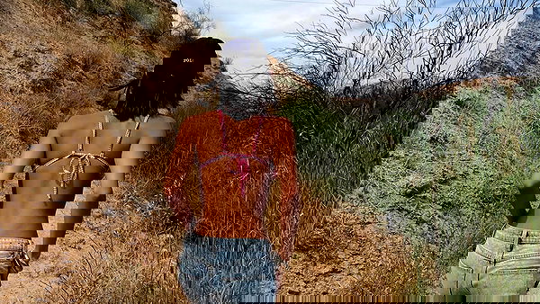 efrat_elmalich image ~ Altpins