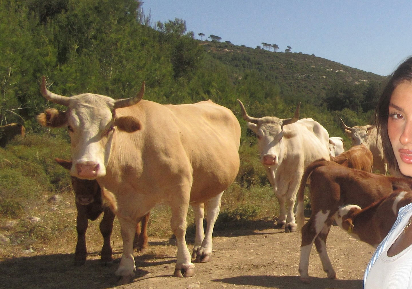 efrat_elmalich instagram image archive image