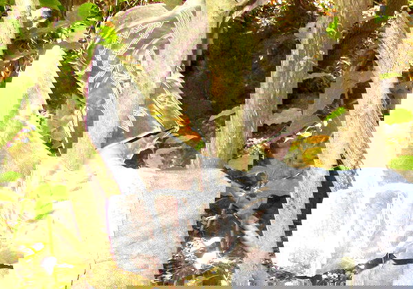 efrat_elmalich image ~ Altpins