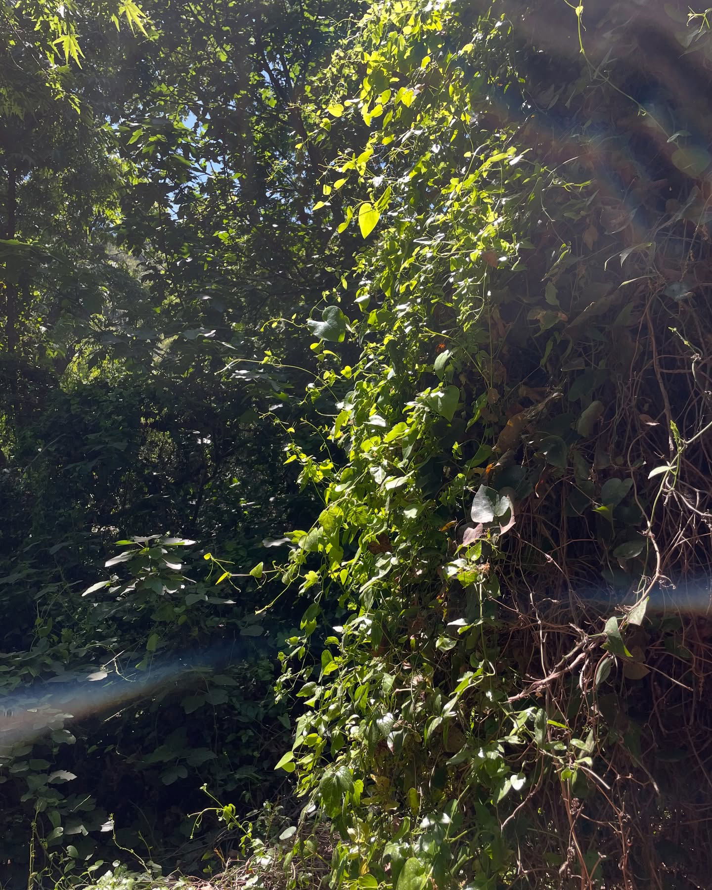 efrat_elmalich instagram image archive image