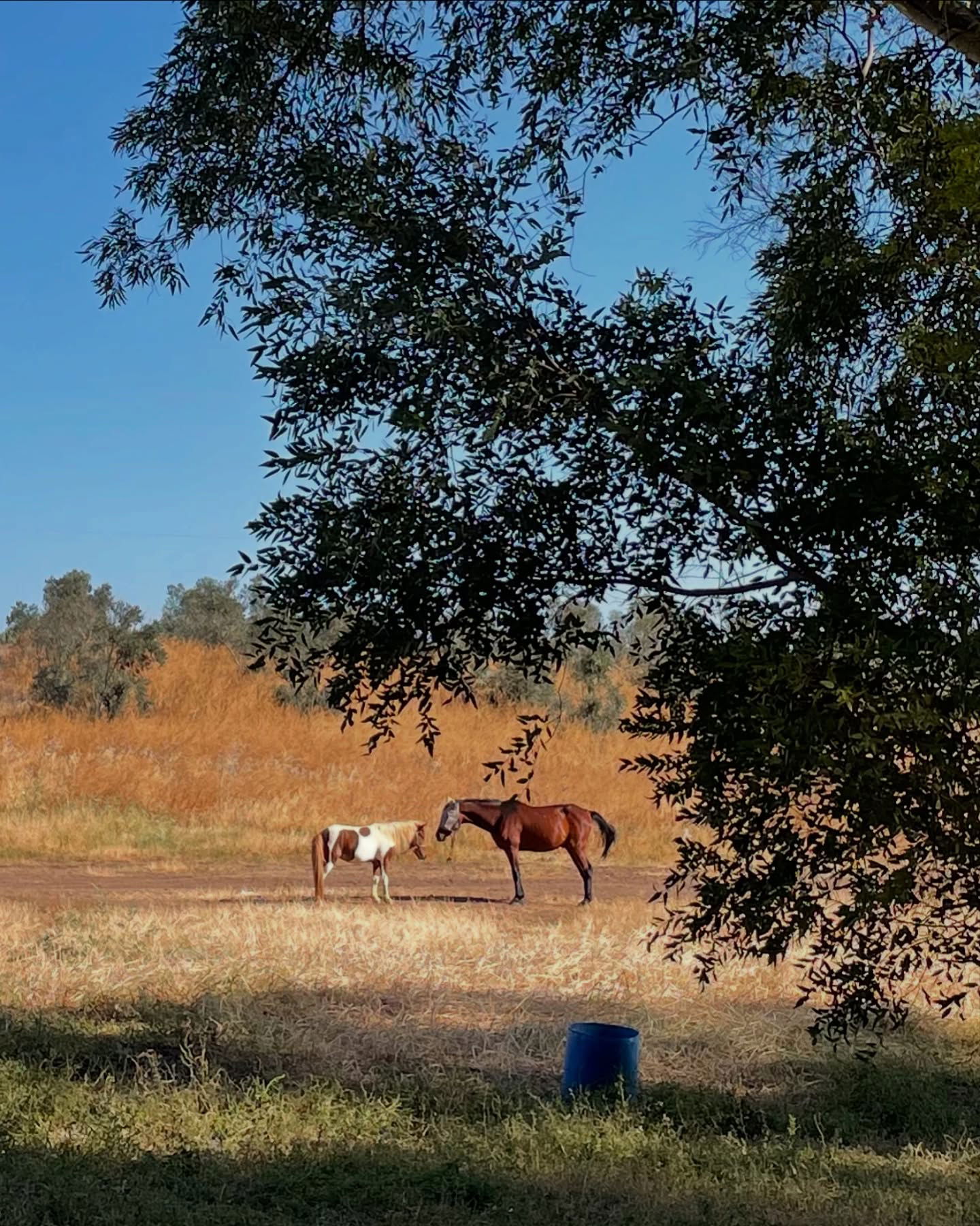 efrat_elmalich instagram image archive image