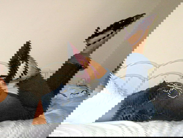 efrat_elmalich image ~ Altpins