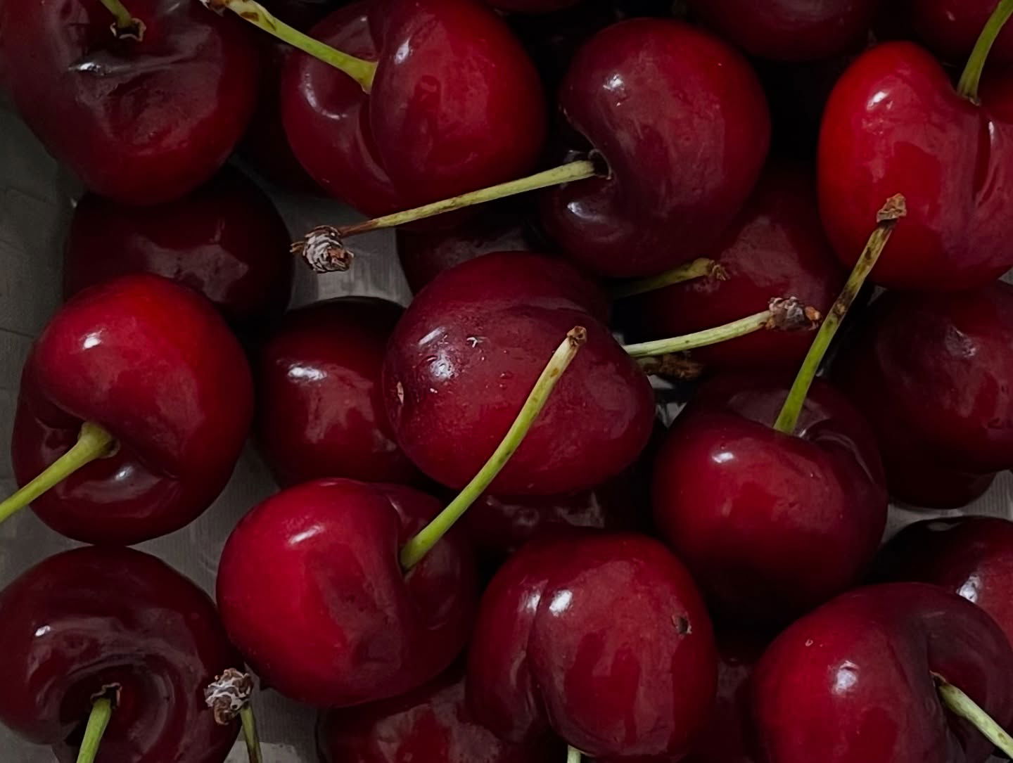 efrat_elmalich instagram image archive image