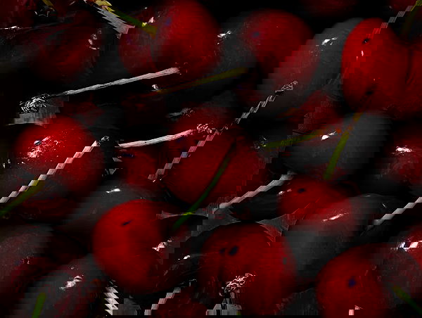 efrat_elmalich image ~ Altpins