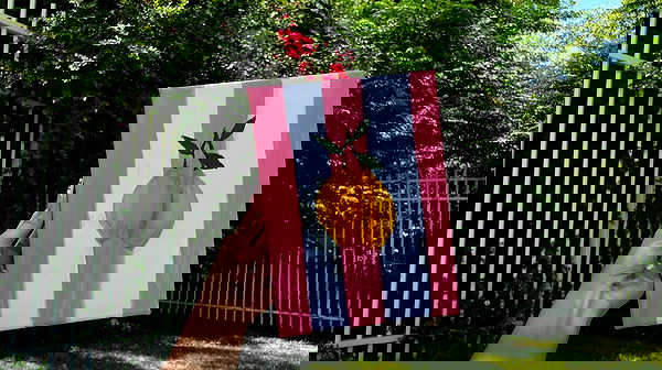 efrat_elmalich image ~ Altpins