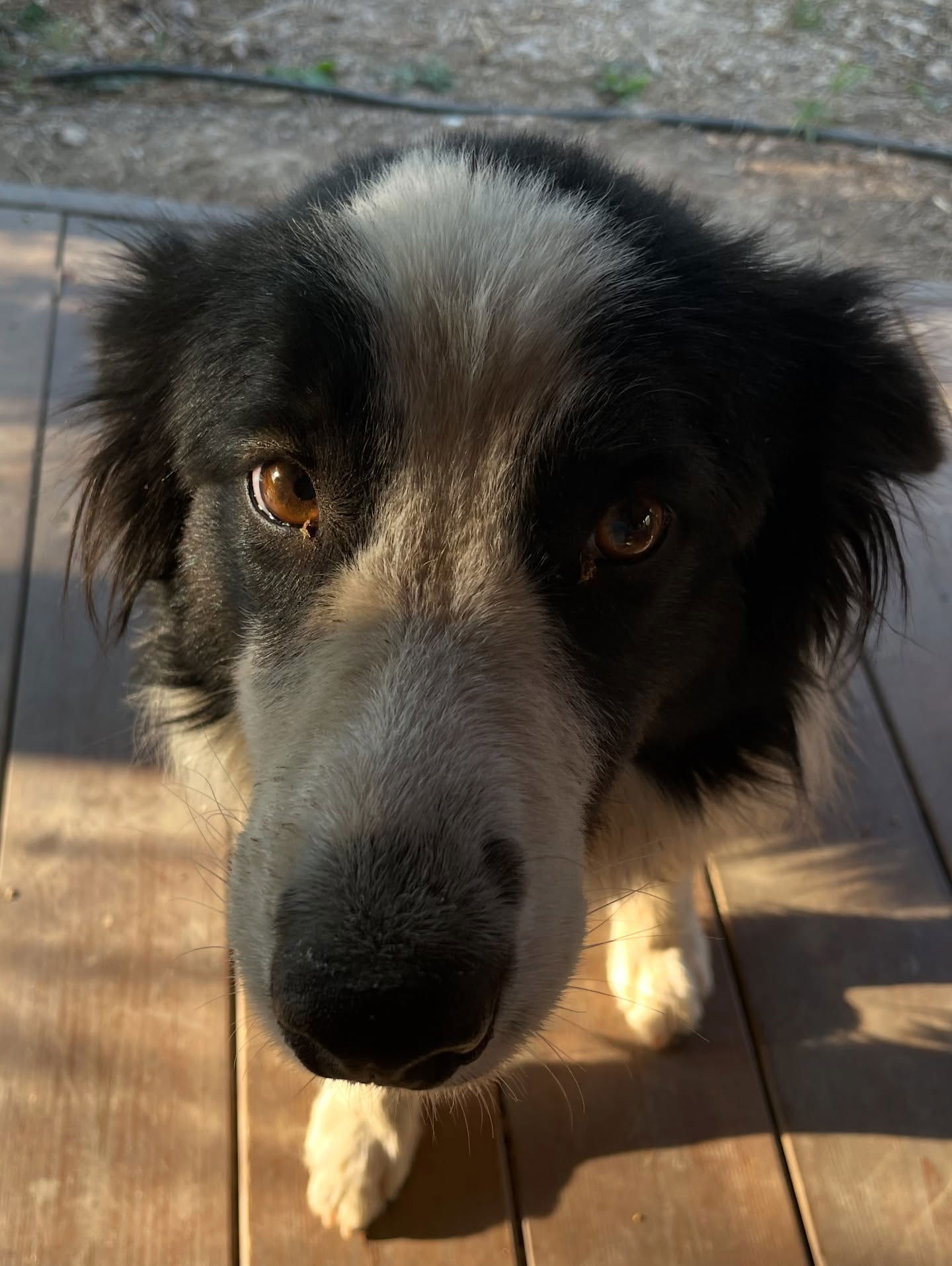 efrat_elmalich instagram image archive image