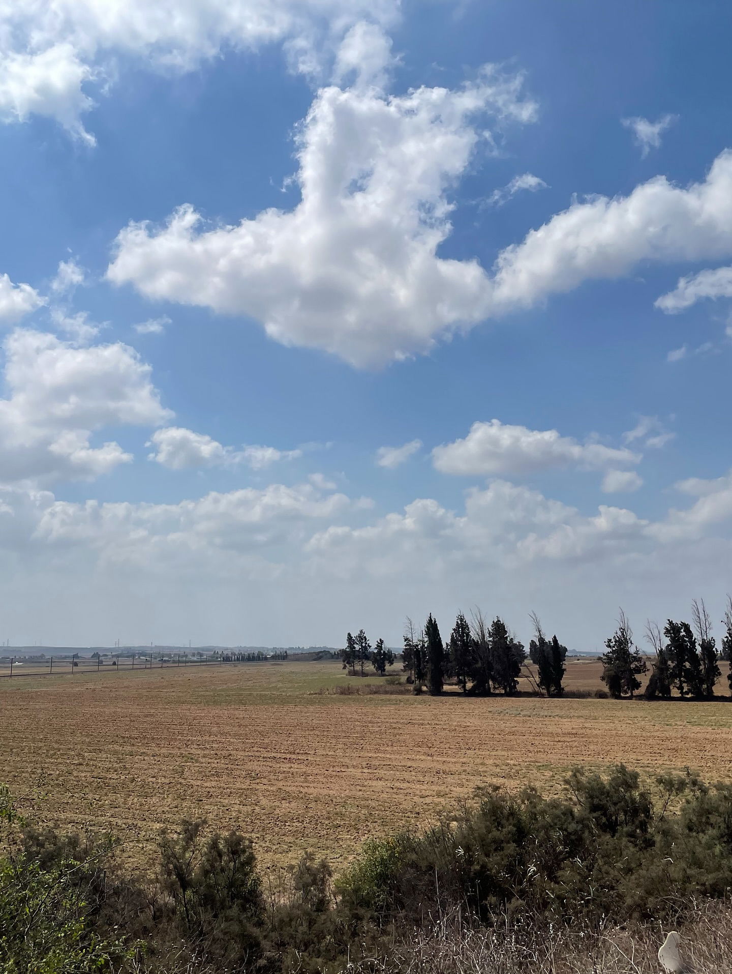 efrat_elmalich instagram image archive image