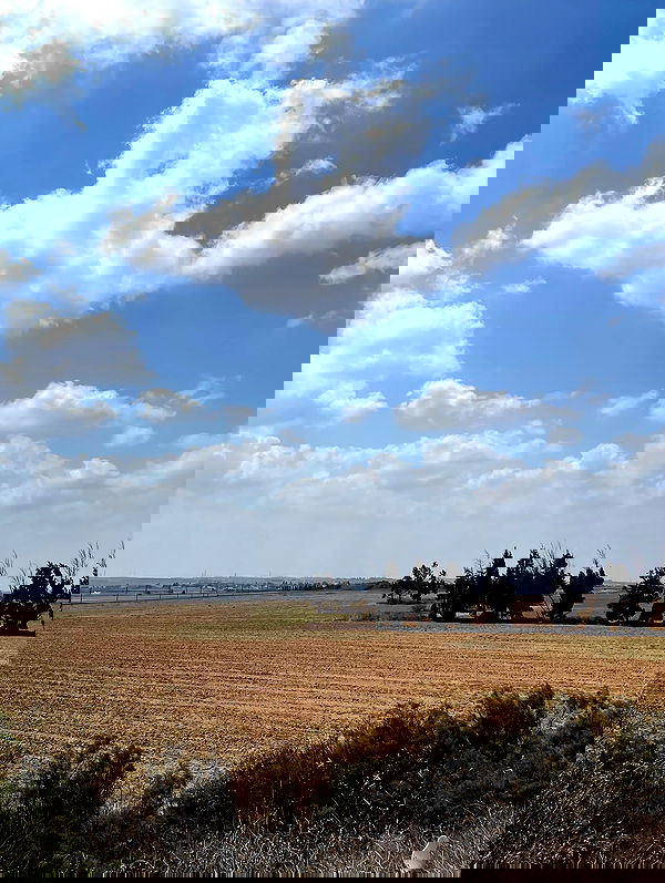 efrat_elmalich image ~ Altpins