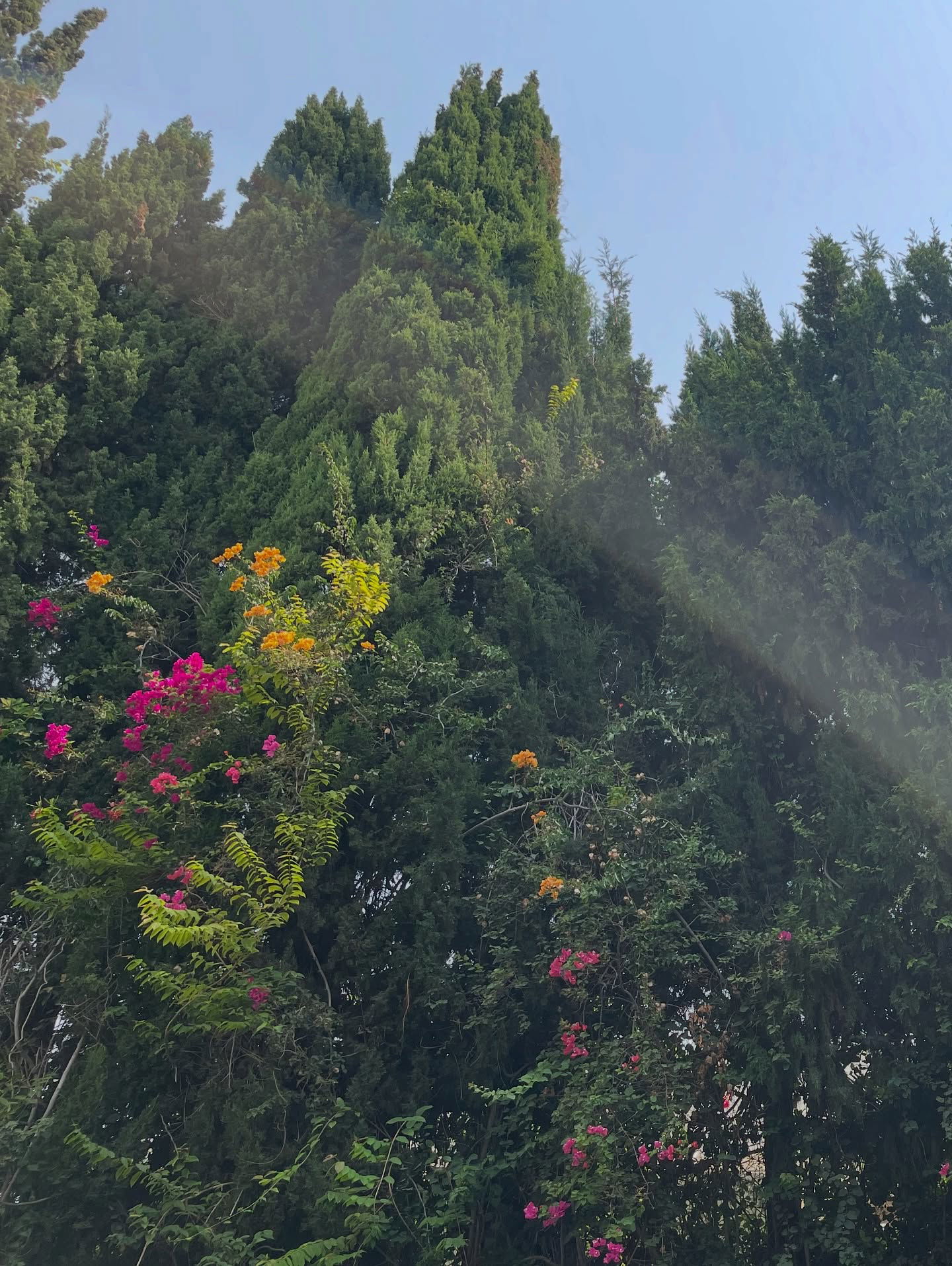 efrat_elmalich instagram image archive image