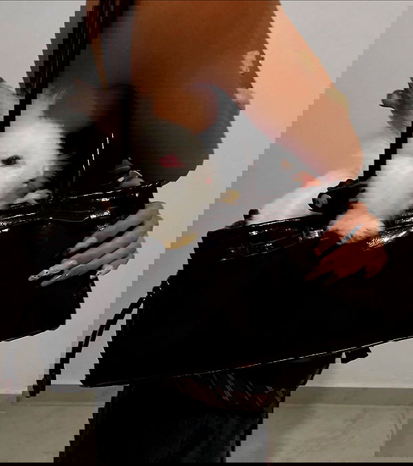 efrat_elmalich image ~ Altpins