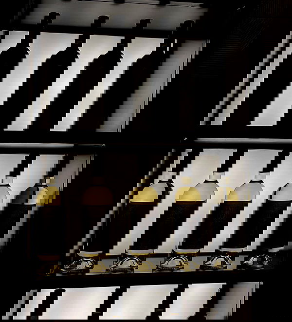 efrat_elmalich image ~ Altpins