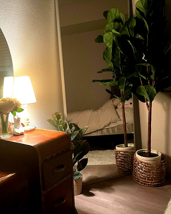ehcico instagram image archive image