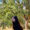 ehcico Altpins Profile Picture