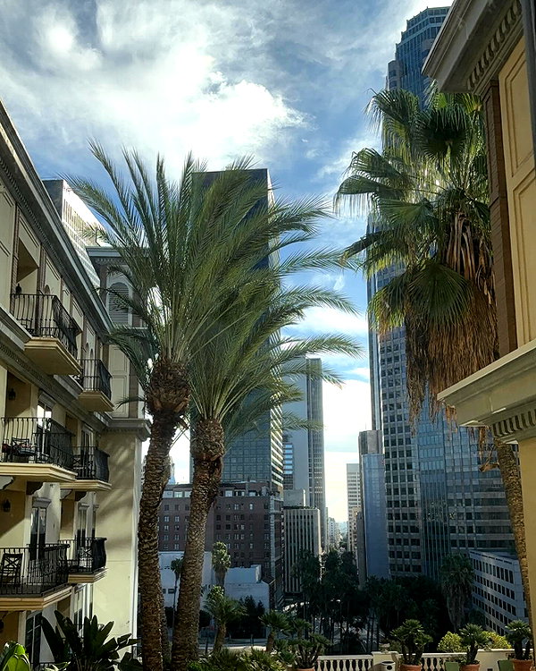 ehcico instagram image archive image