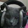 ehcico Altpins Profile Picture