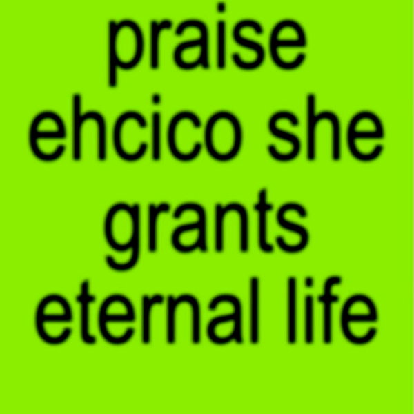 ehcico instagram image archive image