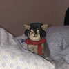 ehcico Altpins Profile Picture